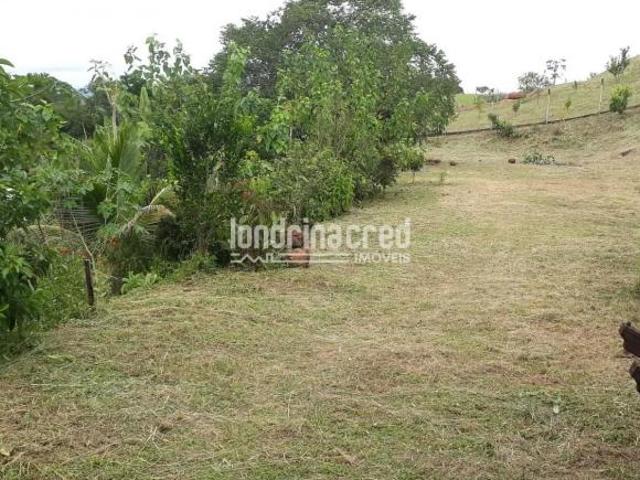 Sítio e chácara venda em Região Geográfica Imediata de Londrina, Londrina