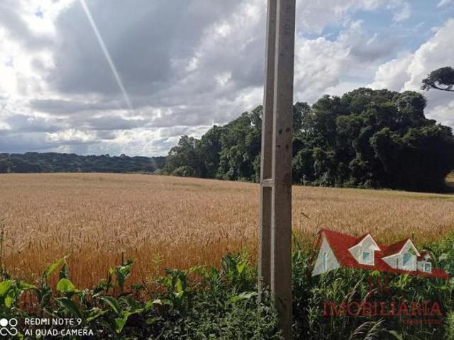 Sitio venda em Araucaria
