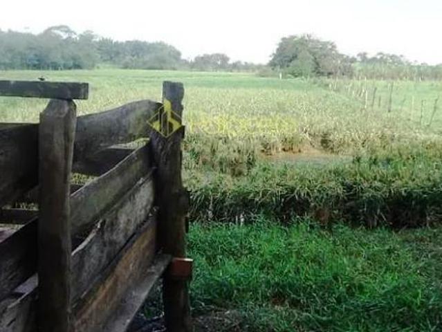Sítio e chácara venda em Região Imediata de Taubaté-Pindamonhangaba, Região Metropolitana do Vale do Paraíba e Litoral Norte