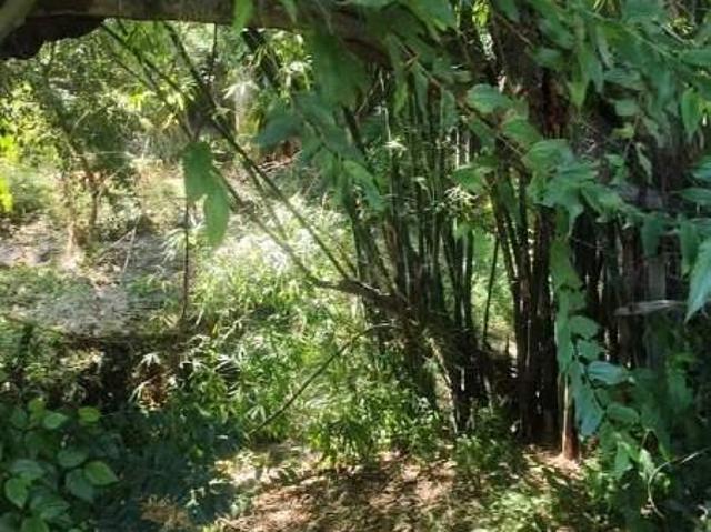 Sítio e chácara venda em Região Imediata de Sorocaba, Região Metropolitana de Sorocaba
