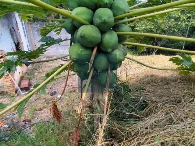 Sítio e chácara venda em Jardim São Vicente, Itupeva