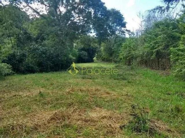 Sítio e chácara venda em Região Imediata de Taubaté-Pindamonhangaba, Região Metropolitana do Vale do Paraíba e Litoral Norte