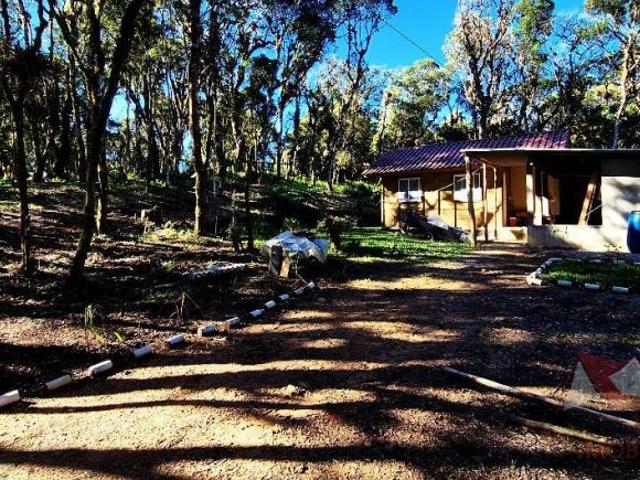 Sítio e chácara venda em Região Geográfica Imediata de Curitiba, Região Metropolitana de Curitiba