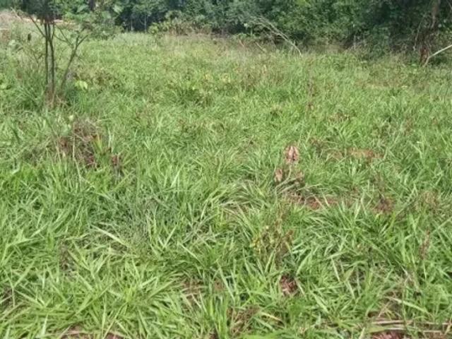 Fazenda venda em Região Geográfica Imediata de Iporá, Arenópolis