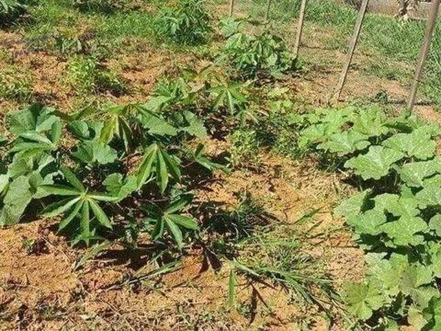 Sítio e chácara venda em Região Imediata de Taubaté-Pindamonhangaba, Região Metropolitana do Vale do Paraíba e Litoral Norte