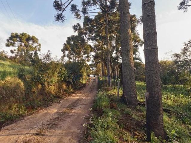 Sítio e chácara venda em Bateias, Campo Largo