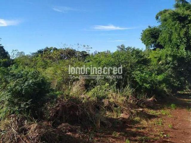 Sítio e chácara venda em Região Geográfica Imediata de Londrina, Londrina