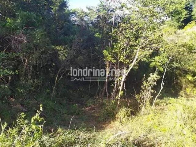 Sítio e chácara venda em Região Geográfica Imediata de Londrina, Londrina