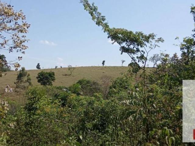 Sítio e chácara venda em Pedra Bela