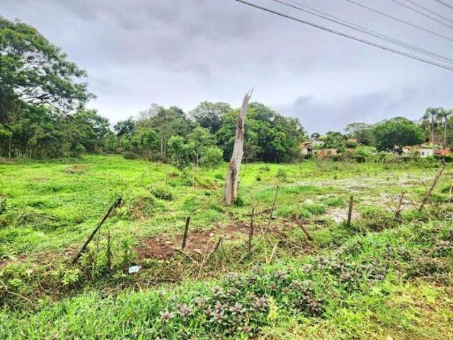 Sítio e chácara venda em Região Imediata de Guaratinguetá, Região Metropolitana do Vale do Paraíba e Litoral Norte