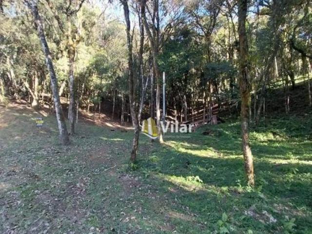 Sítio e chácara venda em Região Geográfica Imediata de Curitiba, Região Metropolitana de Curitiba