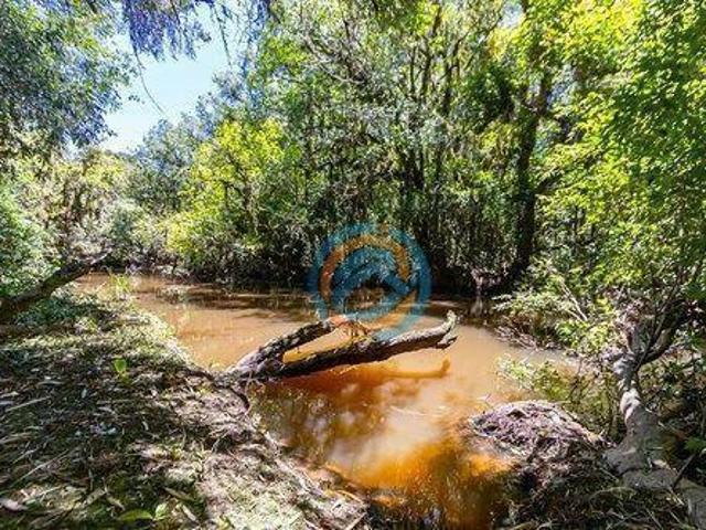 Sítio e chácara venda em Região Geográfica Imediata de Curitiba, Região Metropolitana de Curitiba