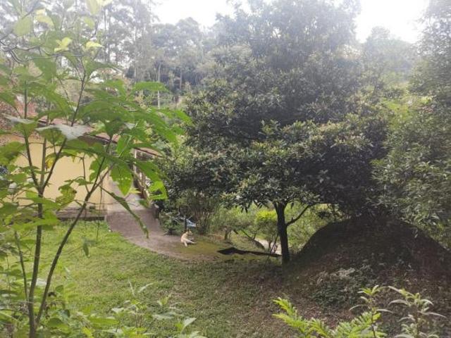 Sítio e chácara venda em Região Imediata de São Paulo, Região Metropolitana de São Paulo