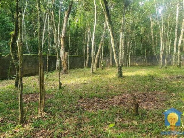 Sítio e chácara venda em Itapecerica da Serra