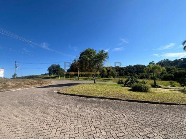 Sítio e chácara venda em Região Geográfica Imediata de Caxias do Sul, Caxias do Sul