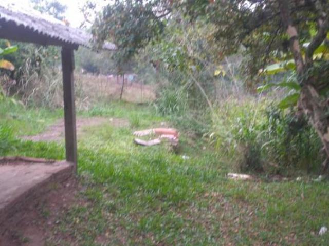 Sítio e chácara venda em Região Geográfica Imediata de Novo Hamburgo - São Leopoldo, Região Metropolitana de Porto Alegre