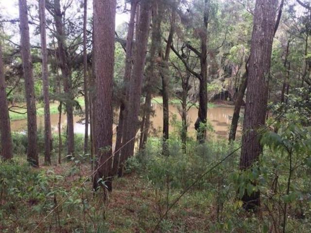 Sítio e chácara venda em Ronda, Ponta Grossa