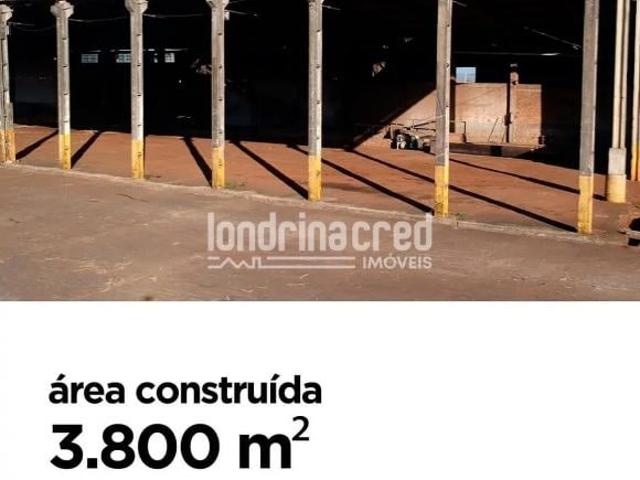 Sítio e chácara venda em Centro Histórico, Rolândia