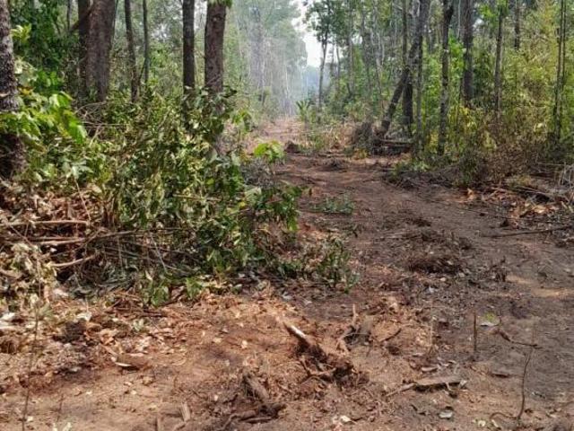 Sítio e chácara venda em Região Geográfica Imediata de Sinop, Cláudia