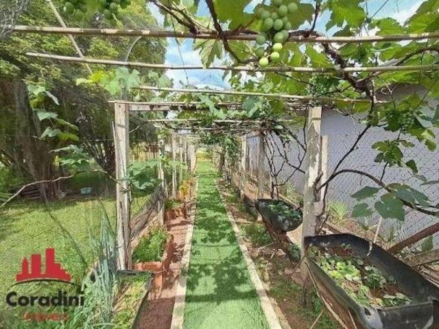 Sítio e chácara venda em Região Imediata de Campinas, Região Metropolitana de Campinas
