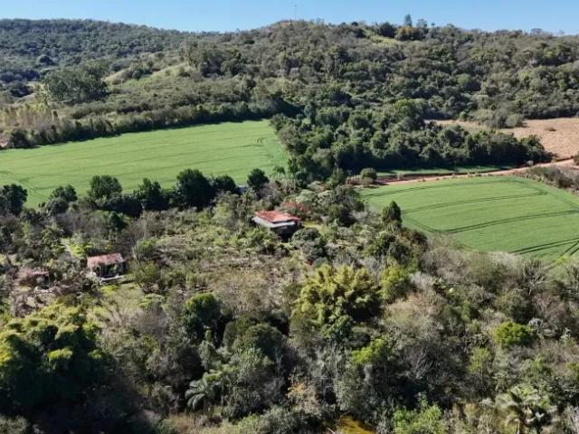 Fazenda venda em Região Geográfica Imediata de Londrina, Londrina