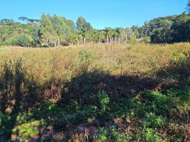 Sítio e chácara venda em Região Geográfica Imediata de Curitiba, Região Metropolitana de Curitiba