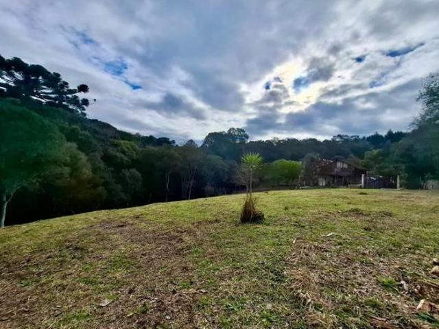 Sítio e chácara venda em Região Geográfica Imediata de Curitiba, Região Metropolitana de Curitiba