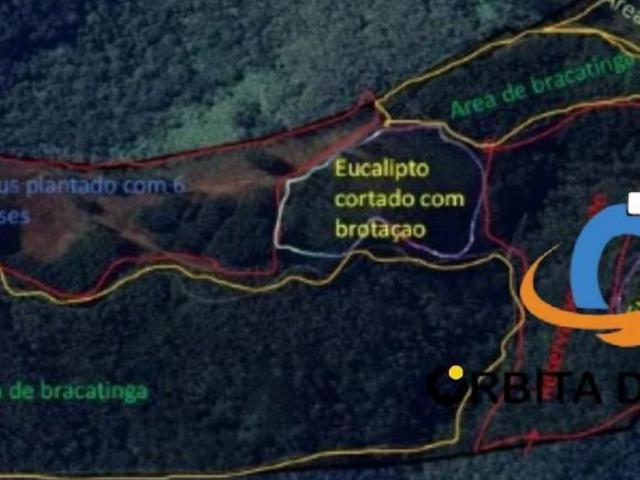 Sítio e chácara venda em São Silvestre, Campo Largo