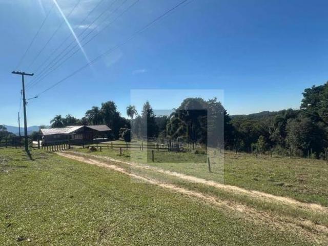 Sítio e chácara venda em Itaboa, Campo Largo