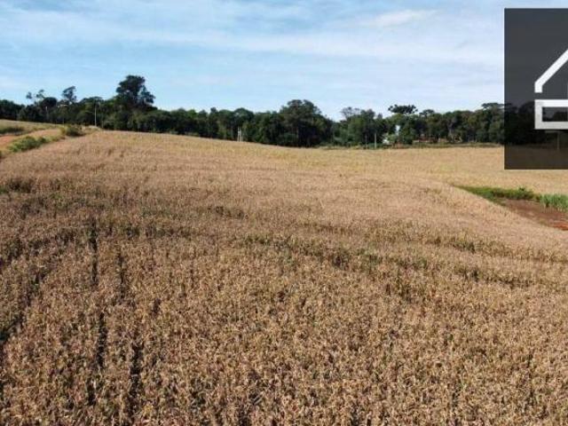Sítio e chácara venda em Região Geográfica Imediata de Cascavel, Cascavel
