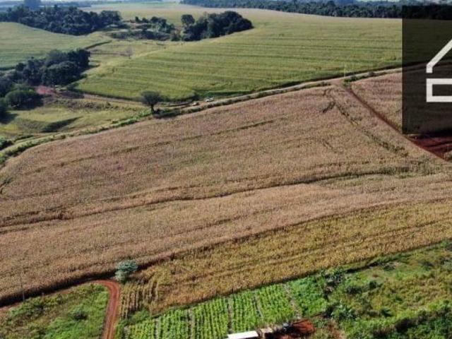 Sítio e chácara venda em Região Geográfica Imediata de Cascavel, Cascavel