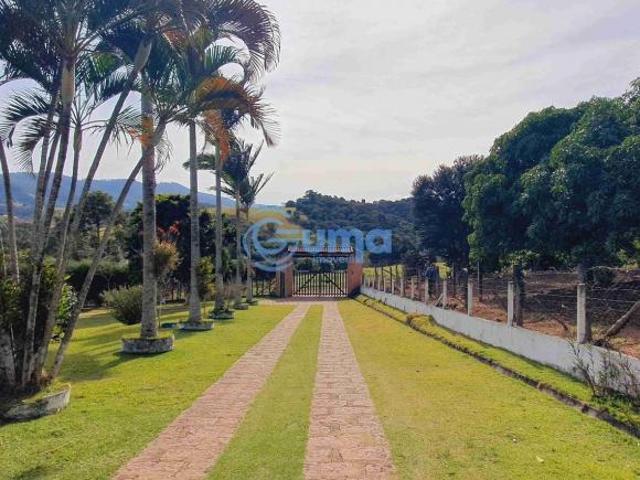 Sítio e chácara venda em Vargem