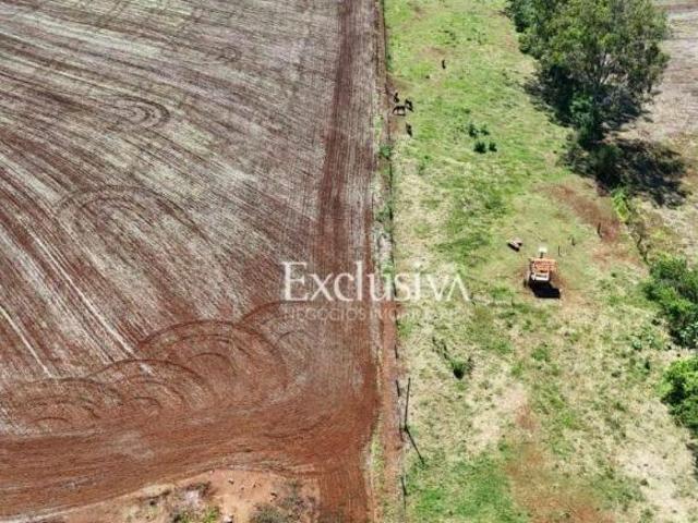 Sítio e chácara venda em Londrina, Conjunto Armindo Guazzi