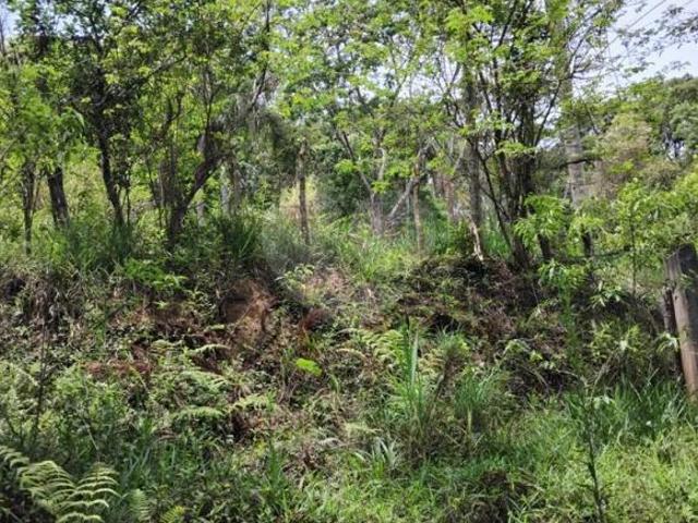 Sítio e chácara venda em Região Imediata de São Paulo, Região Metropolitana de São Paulo