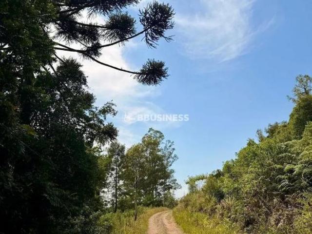 Sítio e chácara venda em Região Geográfica Imediata de Caxias do Sul, Caxias do Sul