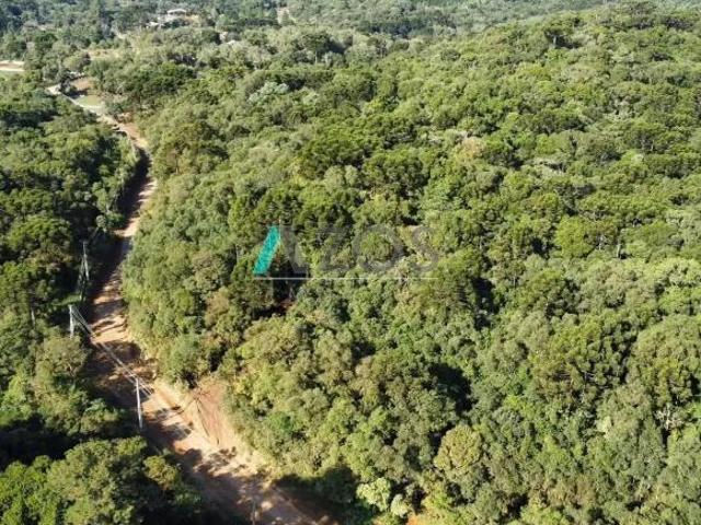 Sítio e chácara venda em Região Geográfica Imediata de Curitiba, Região Metropolitana de Curitiba
