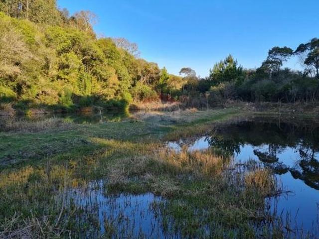 Sítio e chácara venda em Região Geográfica Imediata de Curitiba, Região Metropolitana de Curitiba