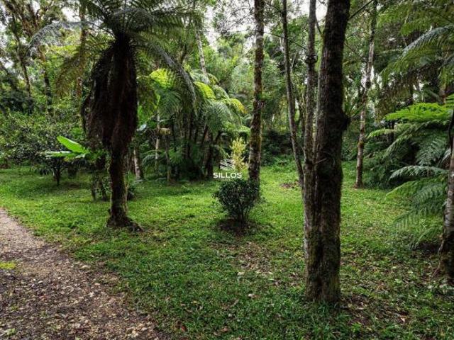 Sítio e chácara venda em Região Geográfica Imediata de Curitiba, Região Metropolitana de Curitiba