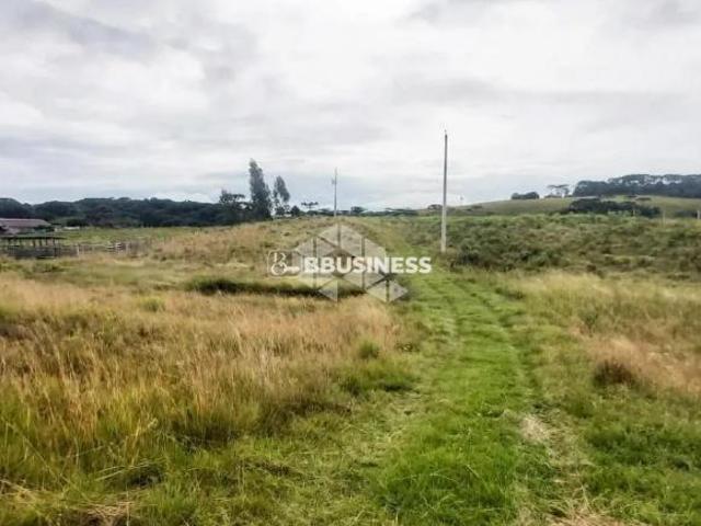 Sítio e chácara venda em Região Geográfica Imediata de Caxias do Sul, Caxias do Sul