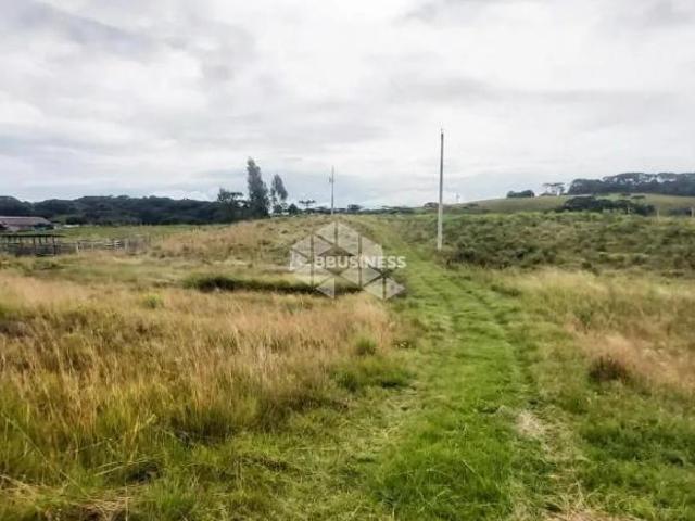 Sítio e chácara venda em Criúva, Caxias do Sul