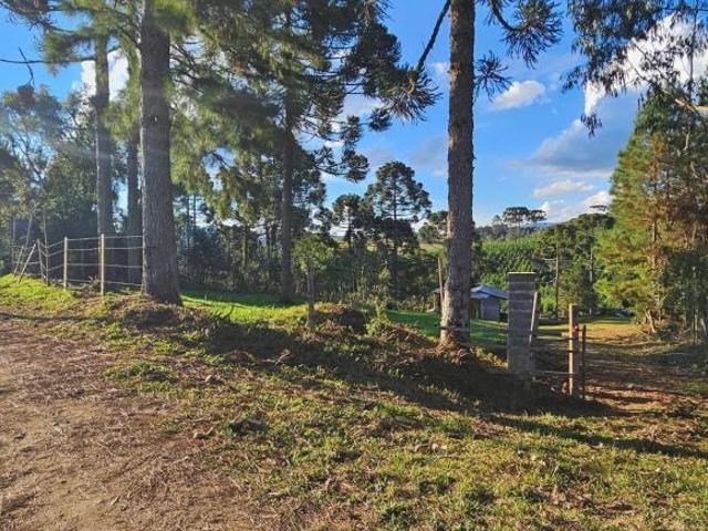 Sítio e chácara venda em Região Geográfica Imediata de Curitiba, Região Metropolitana de Curitiba