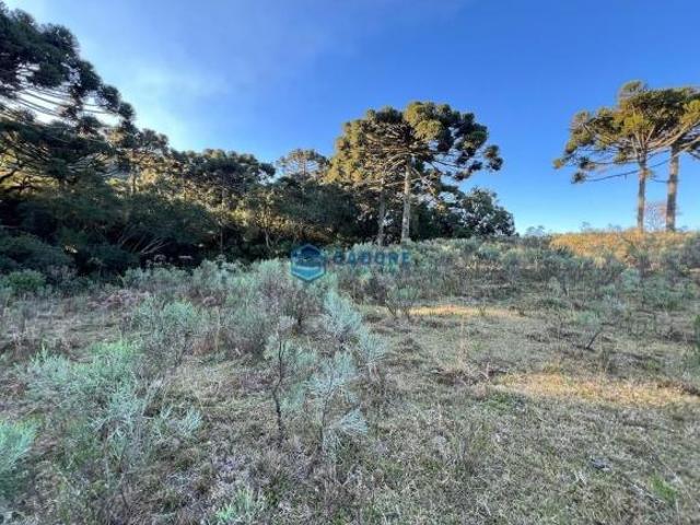 Sítio e chácara venda em Região Geográfica Imediata de Caxias do Sul, Caxias do Sul