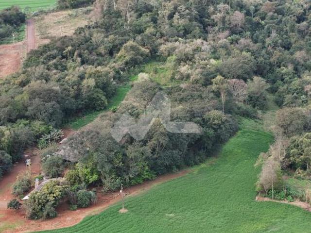 Sítio e chácara venda em Região Geográfica Imediata de Toledo, Toledo