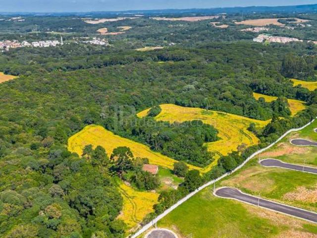Sítio e chácara venda em Botiatuva, Campo Largo