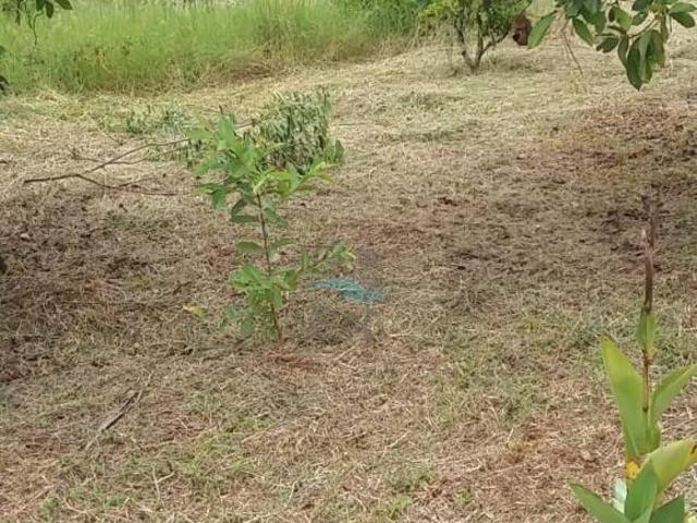 Sítio e chácara venda em Região Geográfica Imediata de Londrina, Londrina