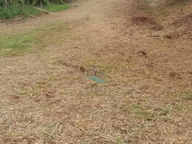 Sítio e chácara venda em Região Geográfica Imediata de Londrina, Londrina