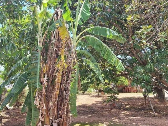 Sítio e chácara venda em Região Imediata de Taubaté-Pindamonhangaba, Região Metropolitana do Vale do Paraíba e Litoral Norte