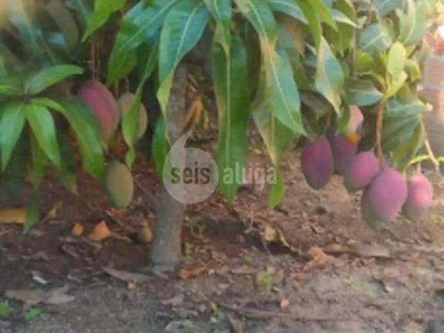 Sítio e chácara venda em Região Imediata de Piracicaba, Região Metropolitana de Piracicaba
