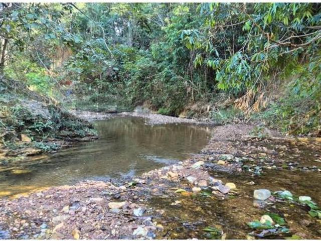 Sítio e chácara venda em Região Geográfica Imediata do Distrito Federal, Região Integrada de Desenvolvimento do Distrito Federal e Entorno
