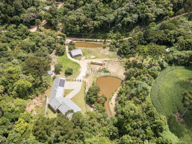 Sítio e chácara venda em Região Geográfica Imediata de Curitiba, Região Metropolitana de Curitiba